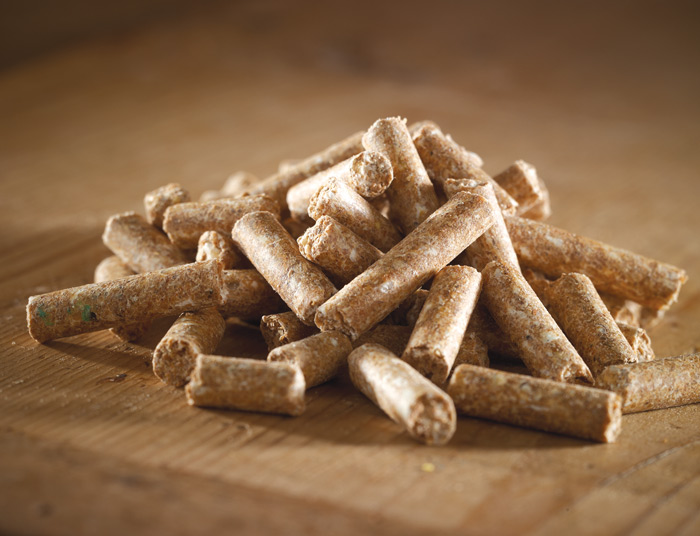 Sow Cubes
