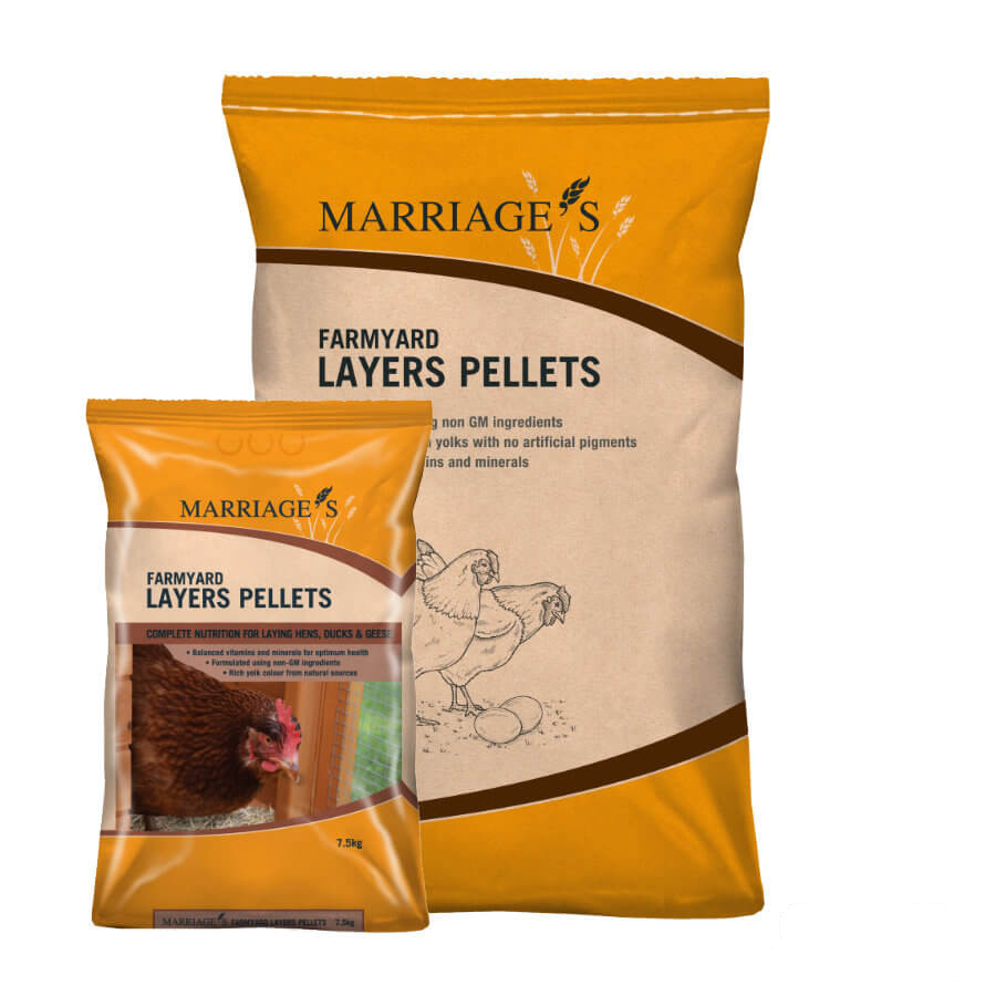 Farmyard Layers Pellets
